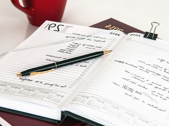 Grafir Laser Desk Pen